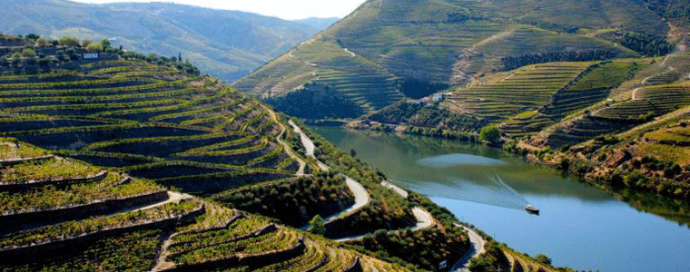 Productos Arribes del Duero
